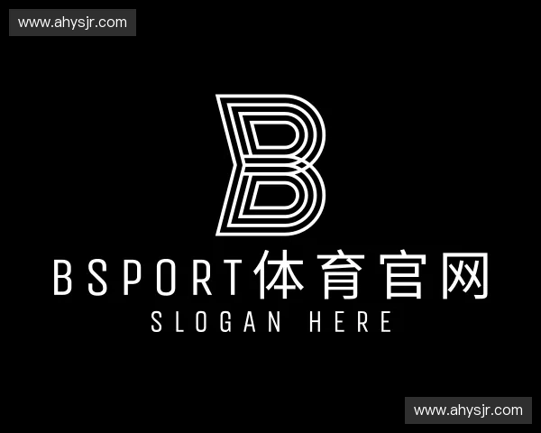 介绍BSport体育官网
